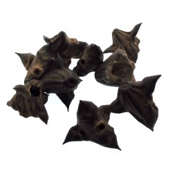 1x Bat Nut Devil Pod